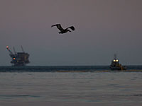 Российские СМИ: катера ВМФ РФ заставили турецкое судно изменить курс в Черном море