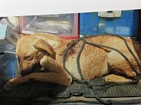 Кнессет расширил определение термина