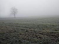 Синоптики: в выходные дни возможен первый в нынешнем зимнем сезоне снегопад на Голанах