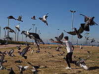 Рейтинг ООН: Израиль - на 18 месте, Россия - на 50-м
