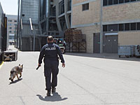 Вызов полиции в еврейскую школу Цюриха оказался ложной тревогой