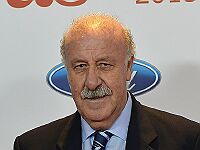 Висенте дель Боске завершит карьеру после Евро-2016