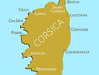 Беспорядки на Корсике, демонстранты разгромили мусульманский молельный зал