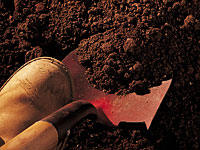 На Голанских высотах обнаружены фрагменты скелета человека