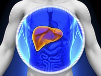 Медики: более трети непьющих россиян страдают недавно открытым заболеванием печени