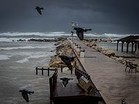 Новогодняя зимняя буря в Израиле: спасательные службы в состоянии повышенной готовности