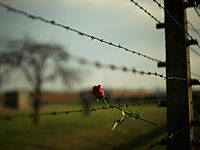 Раввин Мизрахи: жертвами Холокоста стали не 6 млн евреев, а 1 млн