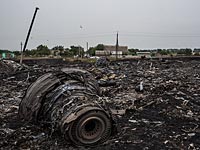 На месте крушения Boeing-777 авиакомпании Malaysia Airlines. Июль 2014 года   