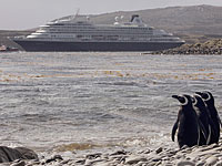 
Новое правительство Аргентины объявило, что продолжит борьбу за Фолкленды