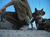 К операции по поиску 