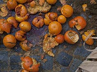 В России уничтожили первую партию турецких продуктов
