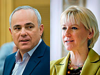 Юваль Штайниц: 