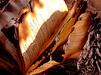 В России начали сжигать книги, изданные Фондом Сороса -  