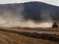 Сельское хозяйство Израиля переведут с защитных пошлин на прямые субсидии