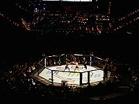 Бывший чемпион ММА осужден на три года за хранение наркотиков