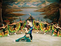 Магия балета, отточенная техника фигурного катания, завораживающая музыка, классическая постановка и костюмы – вот что ожидает израильского зрителя в июле 2016 года