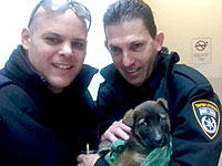 Во время снегопада в Верхней Галилее полицейские спасли замерзающего щенка