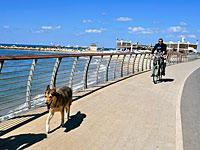 МВБ предлагает штрафовать не только велосипедистов, но и пешеходов на велодорожке