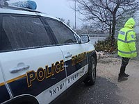 1-я трасса временно перекрыта из-за упавшего дерева