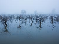 Заснеженная Иудея: Хеврон и Гуш-Эцион. Фоторепортаж