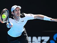 Энди Маррей вышел в полуфинал Открытого чемпионата Австралии