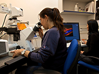 900 сотрудников научно-исследовательского института Вейцмана начали забастовку