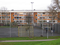 Беженец из Сирии убил одноклассника: шведская пресса замалчивает преступление