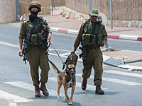 Неподалеку от Кирьят-Арбы задержан араб с ножом