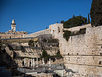 Заместитель министра просвещения заявил, что место реформистов у Мусорных ворот