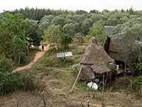 Sadhana Forest: израильтянин возрождает гибнущие леса Индии
