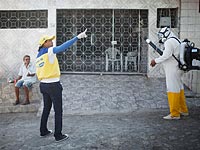 Reuters: американские спортсмены могут отказаться от участия в Олимпиаде из-за вируса Зика