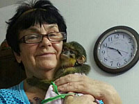 Граждане требуют вернуть в семью Фейгиных мартышку Яшу. Подробности и комментарии