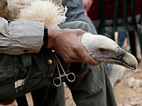 В больнице при