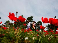 Цветущий Израиль: февральские фотопрогулки