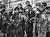 Концлагерь в Польше. 1945 год