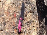 Возле Шхемских ворот в Иерусалиме задержан вооруженный араб