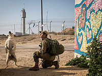 СМИ: ХАМАС готовится использовать для сбора информации мультикоптеры