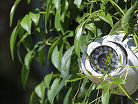 Подозреваемые в причастности к парижским терактам следили за сотрудником бельгийского атомного агентства
