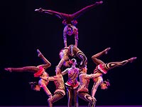 Весной в Израиле цирк