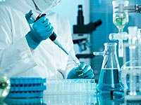 Ученые установили связь между вирусом Зика и микроцефалией