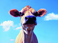 Возле офисов 