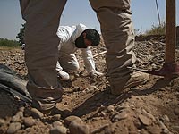 Иракский политик опроверг сообщение о захвате 