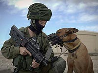 Собаки на службе в Армии обороны Израиля. Фоторепортаж