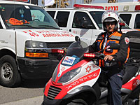 На шоссе №40 в аварию попал школьный автобус: легкие травмы получили 15 детей