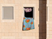 МВД освободило от муниципального налога студентов, проживающих в общежитиях