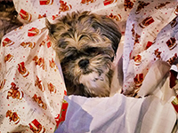 Марни, имеющая два миллиона поклонников, посетила Израиль