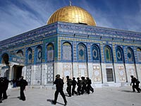 Иордания: камеры на Храмовой горе раскроют преступления Израиля