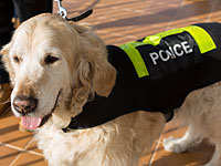 Полиция Кипра: у преступника, угнавшего самолет EgyptAir, не было взрывчатки
