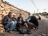 Птицефабрика 