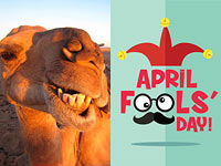 День Дурака в истории ислама: фальшивая легенда мусульман